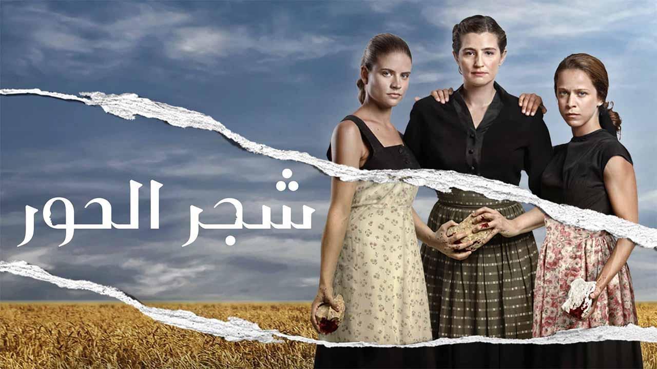 مسلسل  شجر الحور الحلقة 50 مدبلجة